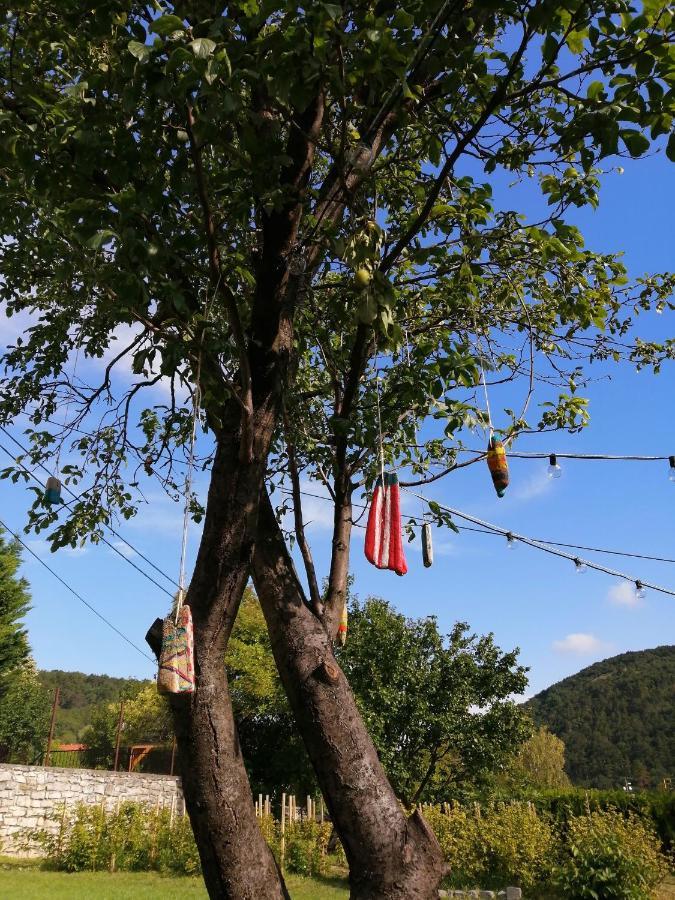 Aracsi Vendeghaz Otel Balatonfüred Dış mekan fotoğraf