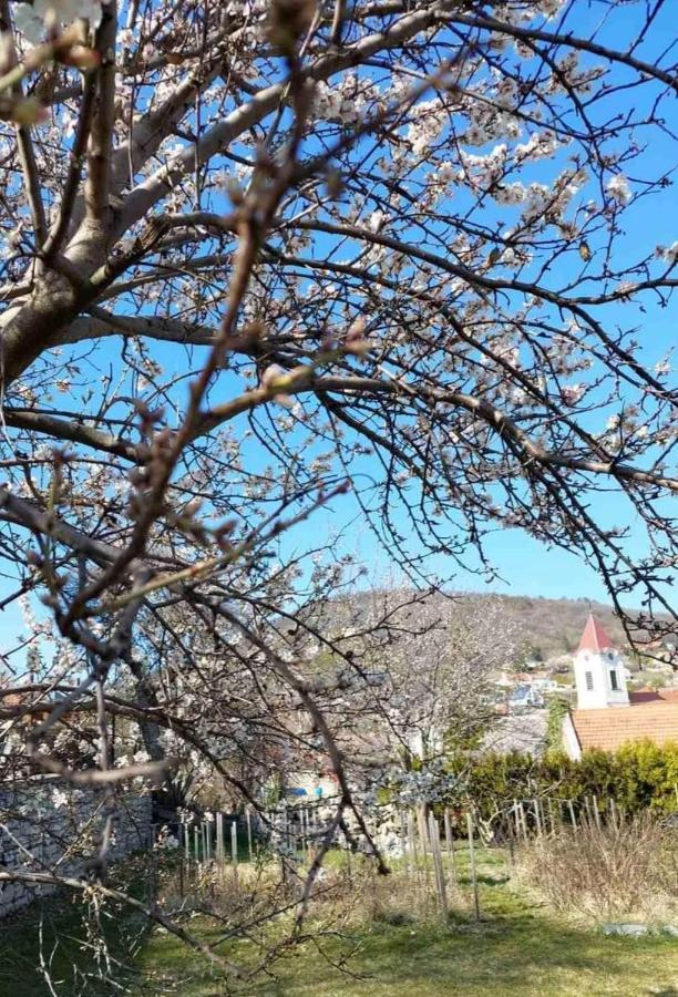 Aracsi Vendeghaz Otel Balatonfüred Dış mekan fotoğraf