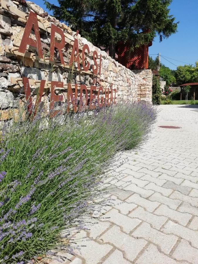Aracsi Vendeghaz Otel Balatonfüred Dış mekan fotoğraf