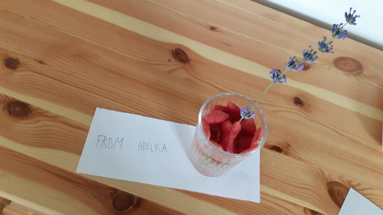Aracsi Vendeghaz Otel Balatonfüred Dış mekan fotoğraf